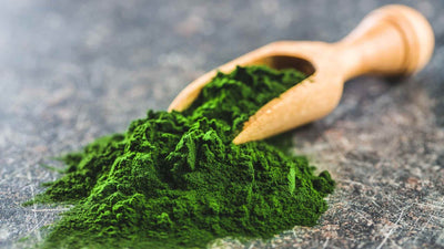 The benefits of chlorella, unknown micro-algae