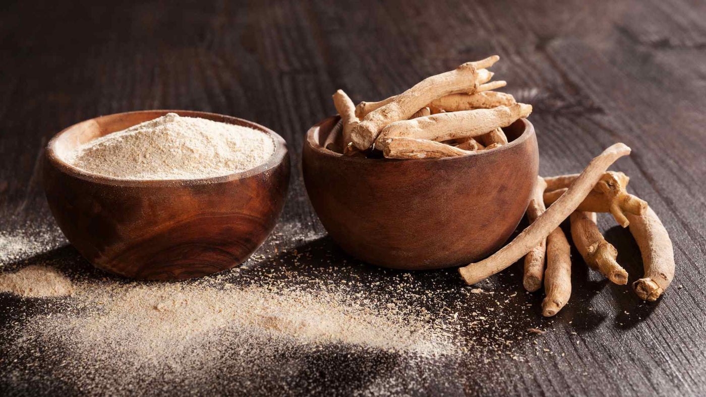 A quoi sert l'ashwagandha, pilier de l'ayurvéda ?