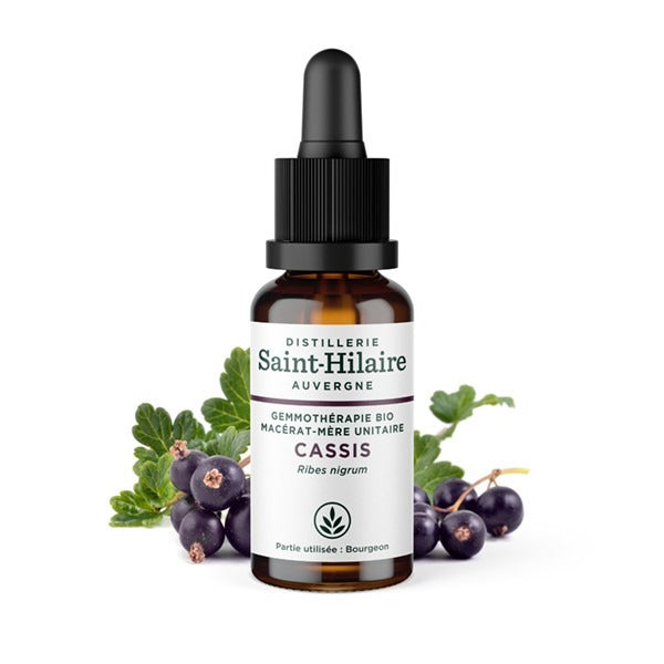 Bio cassis macerat - Gemmotherapy