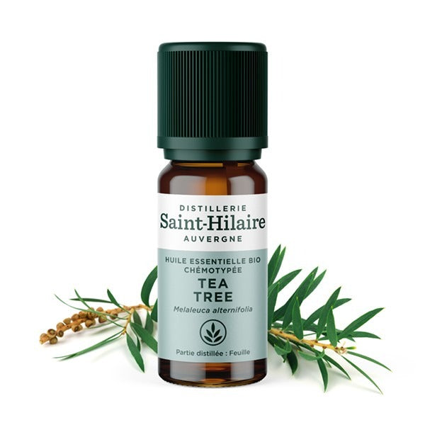 Huile essentielle - Tea tree